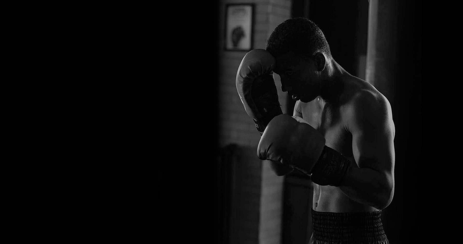 Boxe Training Club academy photo