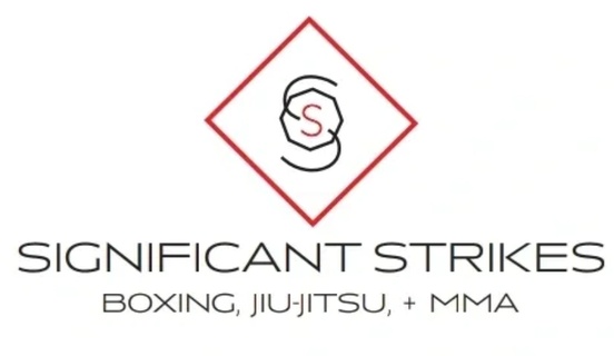 Significant Strikes Boxing, Jiu-Jitsu & MMA academy photo