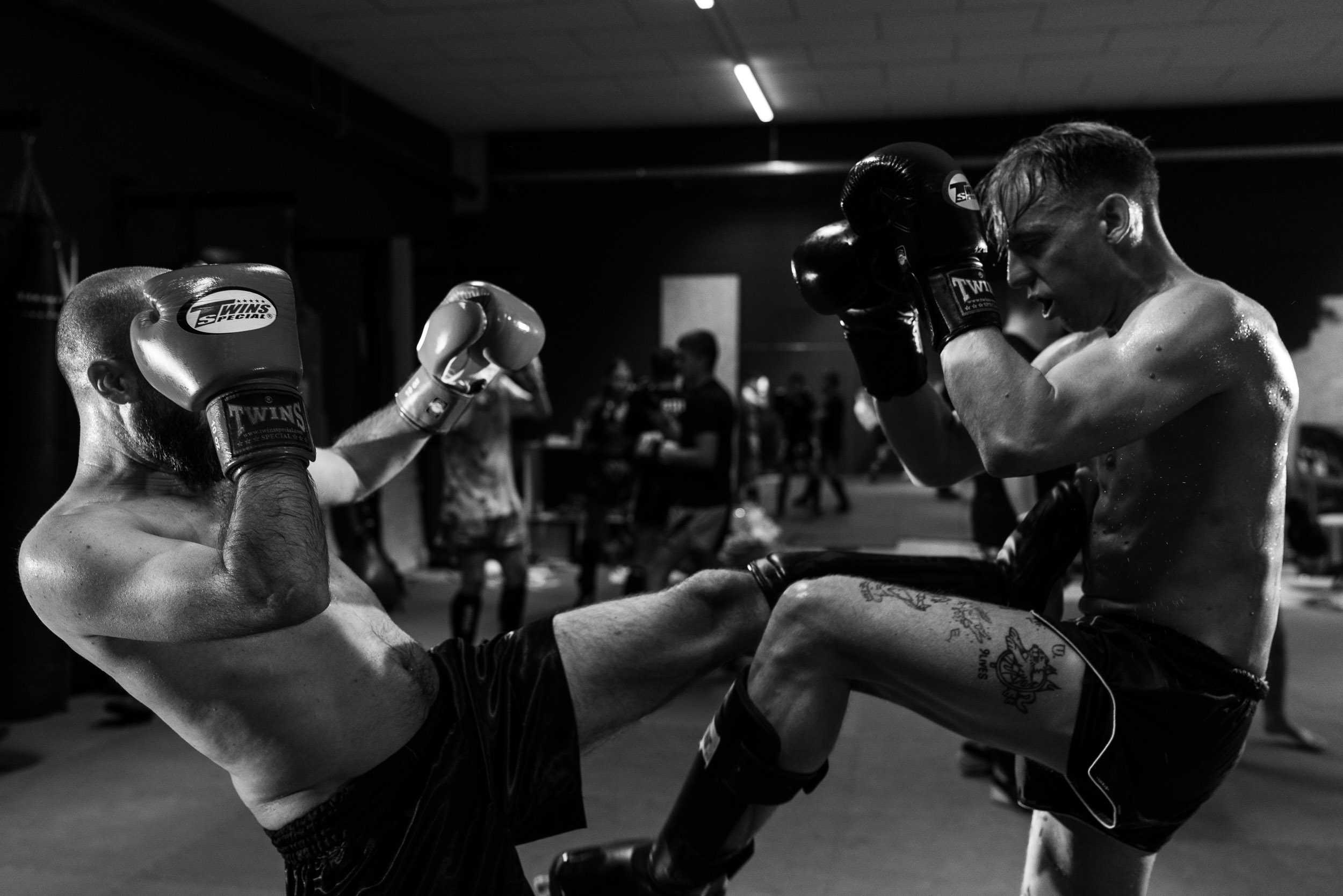 Muay Thai Sangha Zürich academy photo