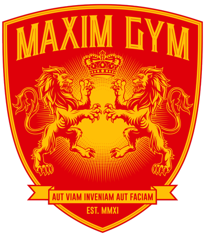 Maxim Gym Kickboxing and Fitness academy image