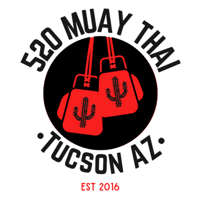 520 Muay Thai academy image