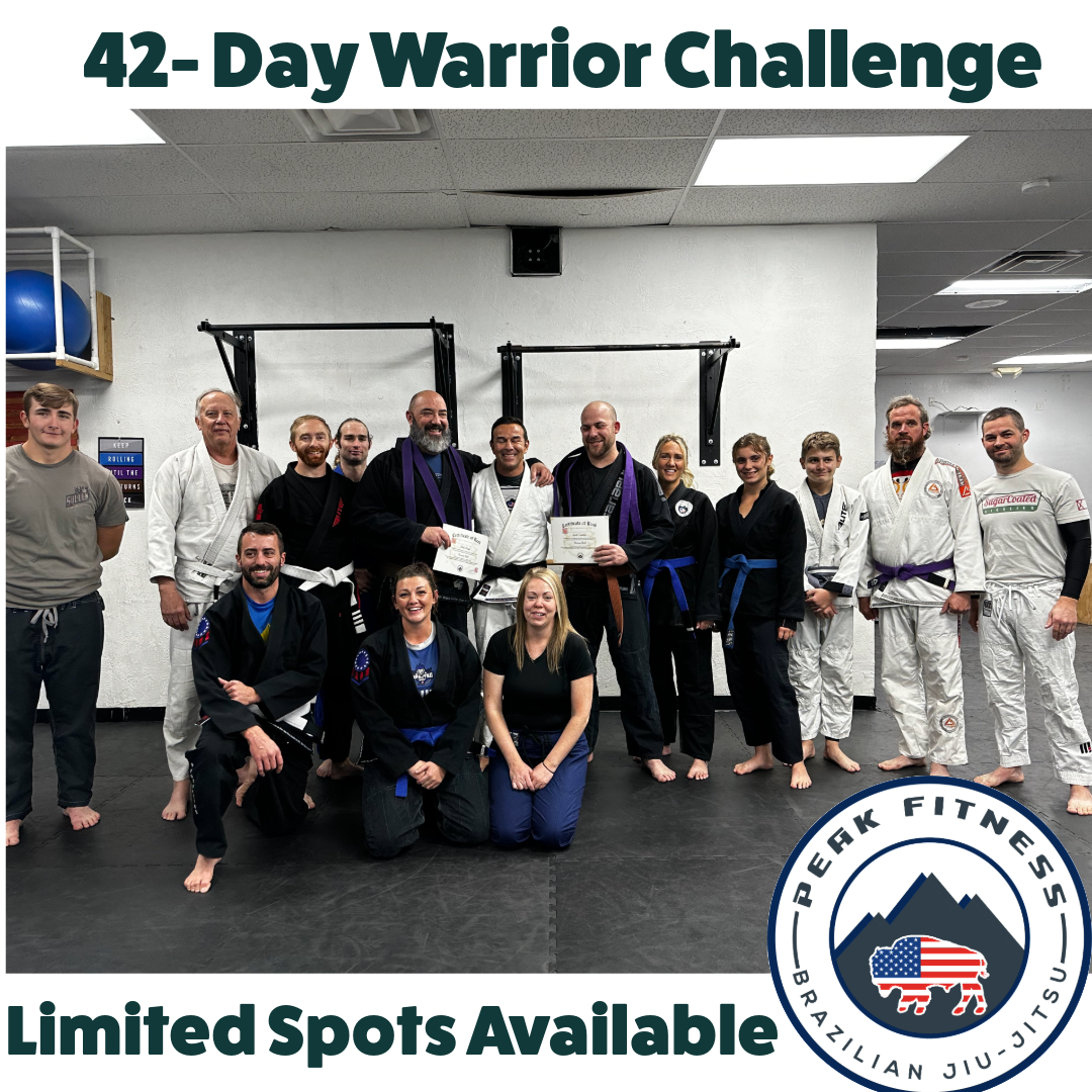 Peak Brazilian Jiu Jitsu & Kickboxing academy photo