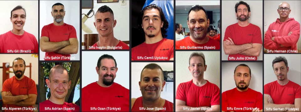 Main image of Wing Chun - proWES