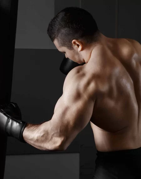 Sebs Elite Boxing Gym academy photo