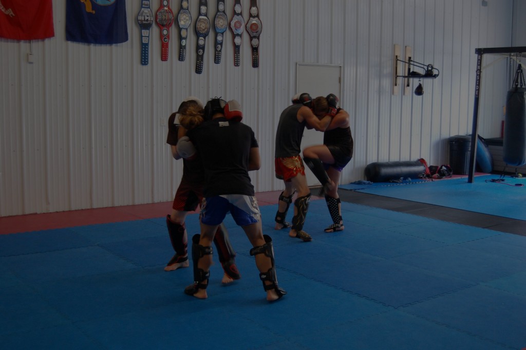 Peoria Muay Thai academy image
