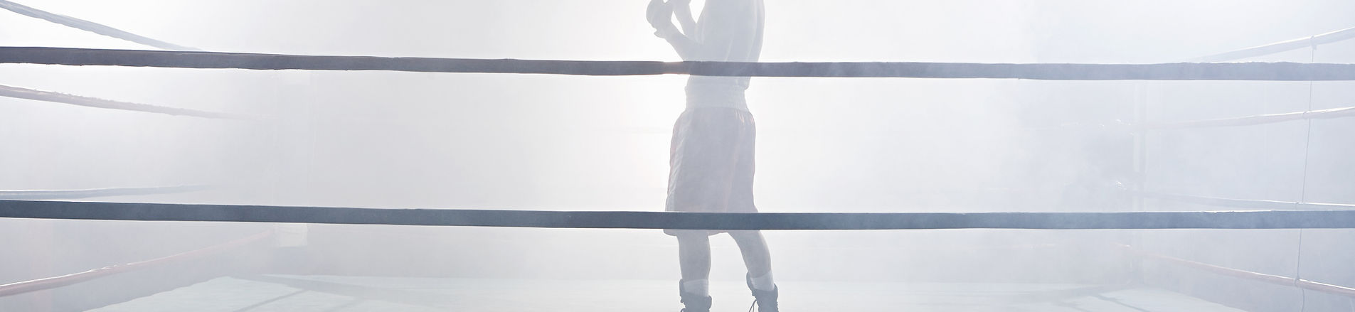 Jab Boxing Team (Saint-Gilles) academy photo
