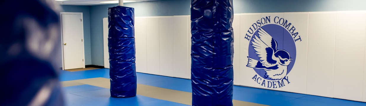 Main image of Hudson Combat Academy