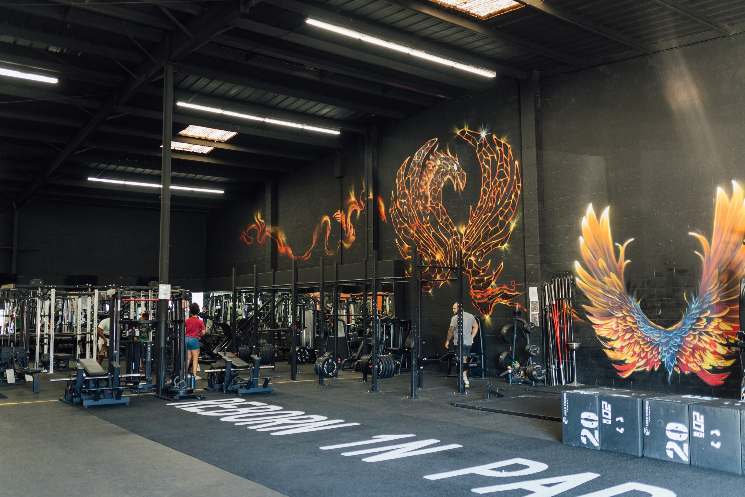 R1PFITNESS academy photo