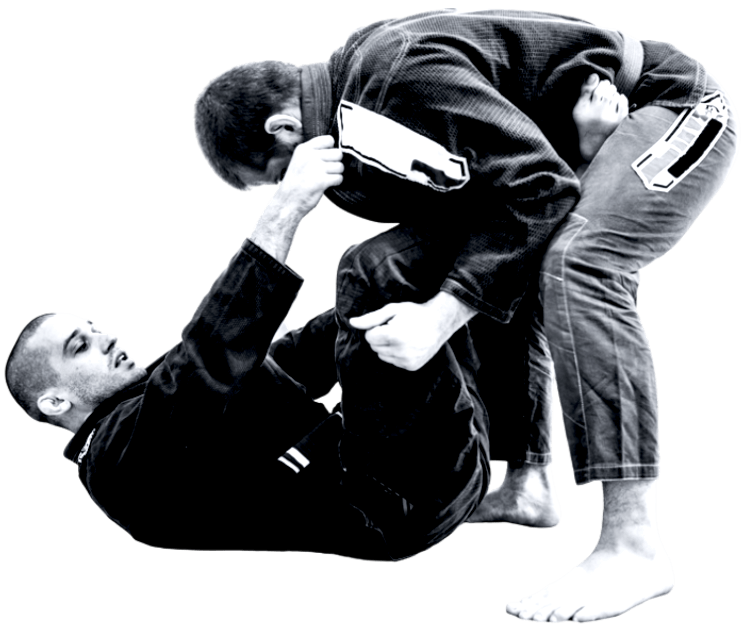 Main image of Apex Jiu Jitsu