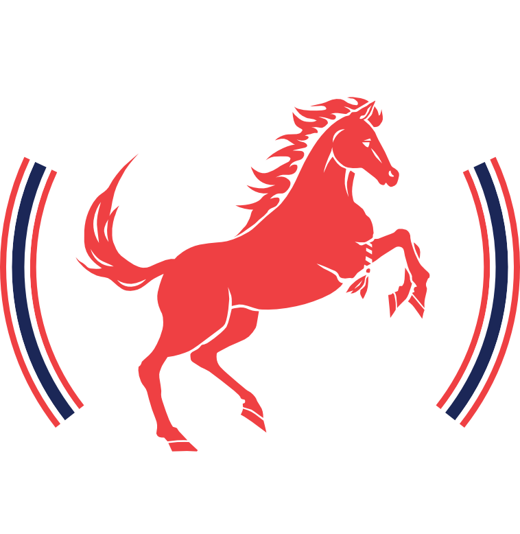 Red Stallion Muaythai academy photo