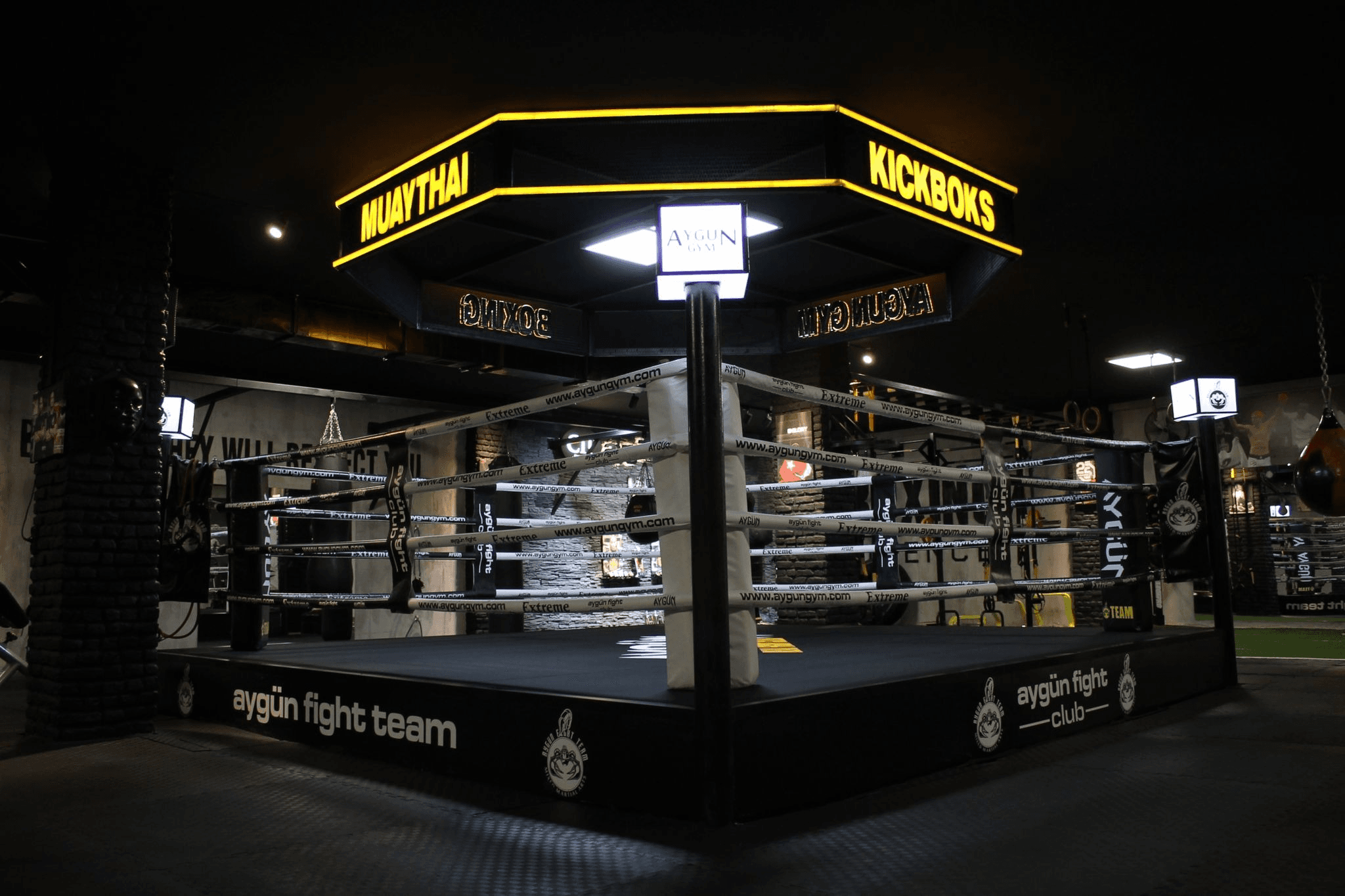 Aygün Gym (Fitness Kickboks - Boks - Muaythai - Pilates - Cadillac Reformer) academy photo