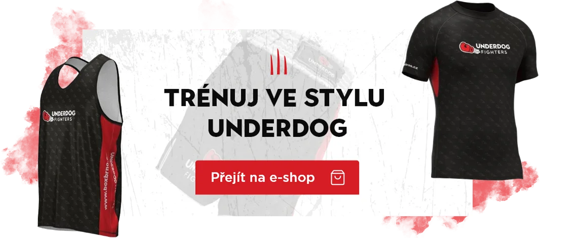 Main image of UNDERDOG fighters - boxerský klub v Brně