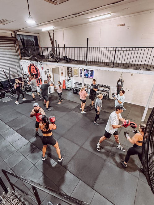 Main image of Gorilla Training