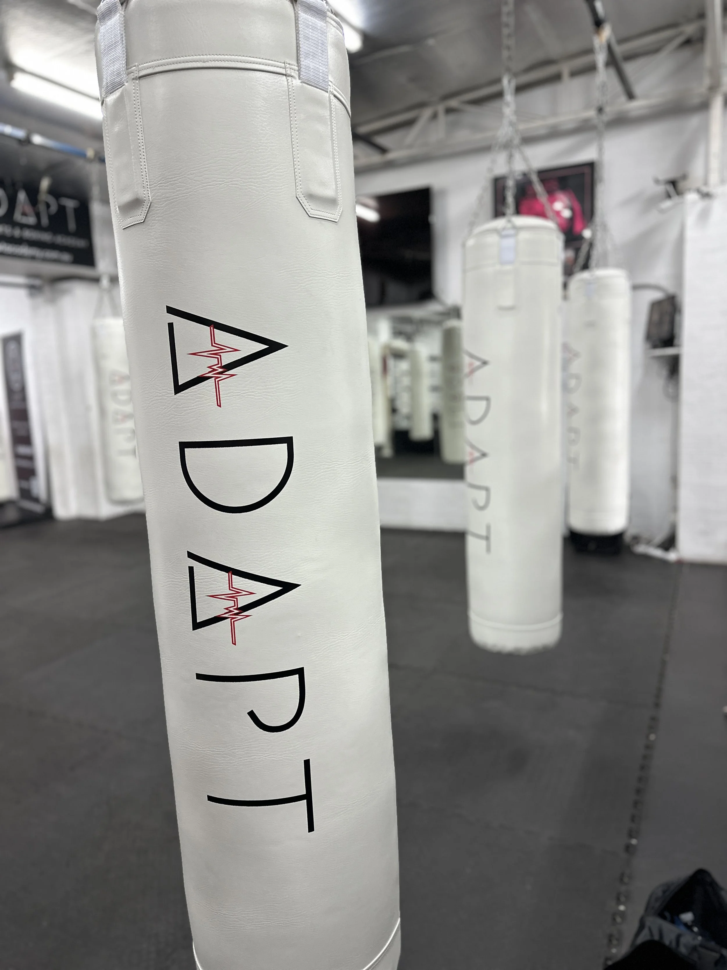Main image of ADAPT Martial Arts Academy