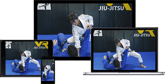 VR Jiu-Jitsu