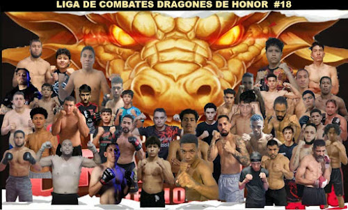 Main image of Thailand´s Dragons Team