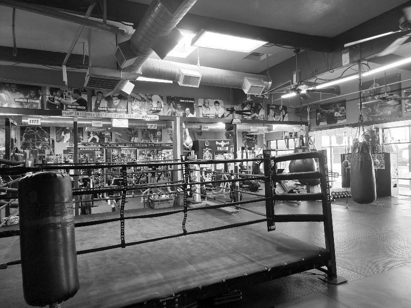 IronGloves Boxing Gym academy image