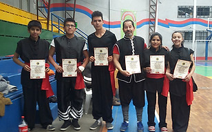 SAN GAR KWOON - ESCUELA DE BOXEO CHINO academy image