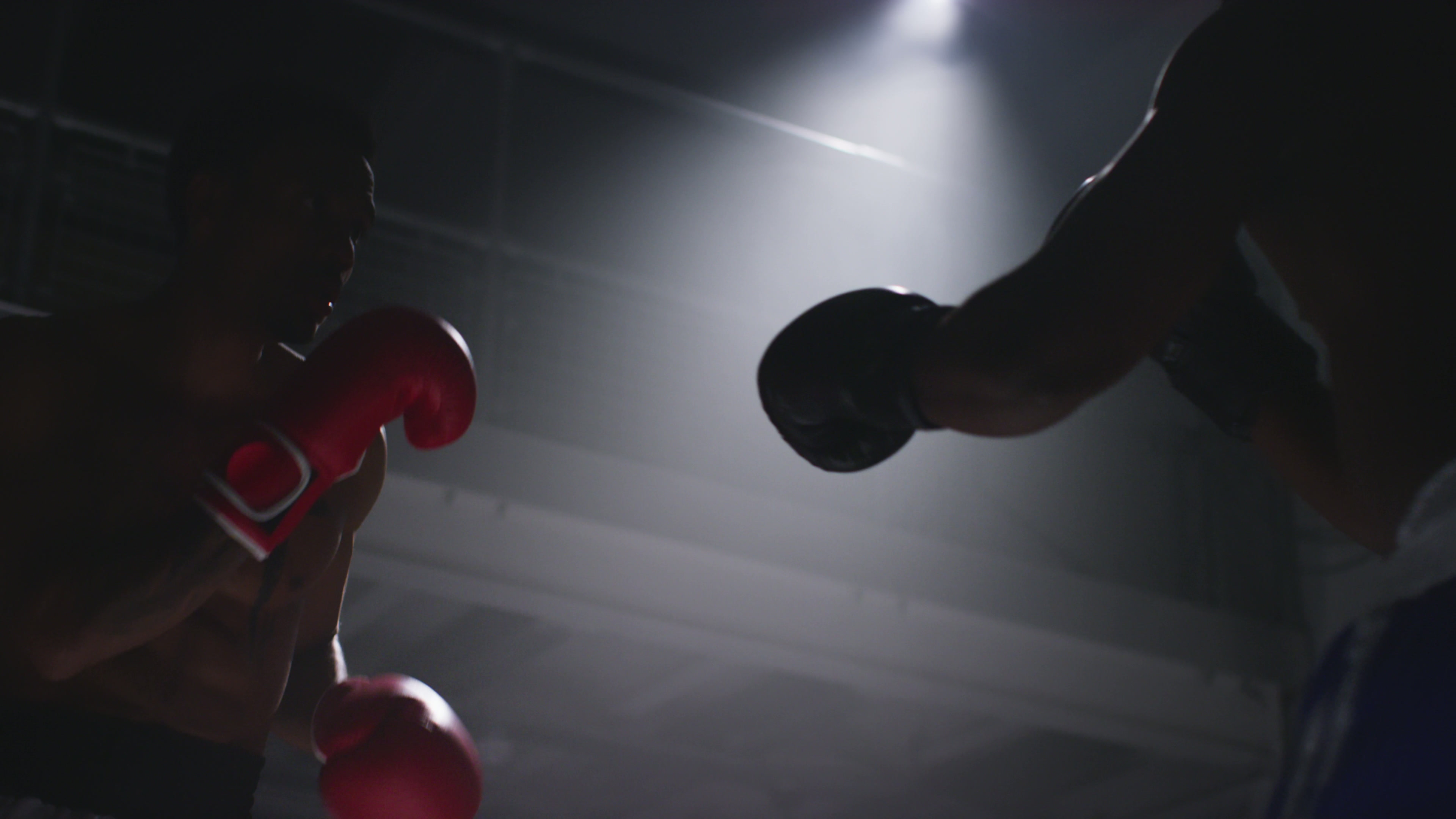 Chief Boxing Club academy photo