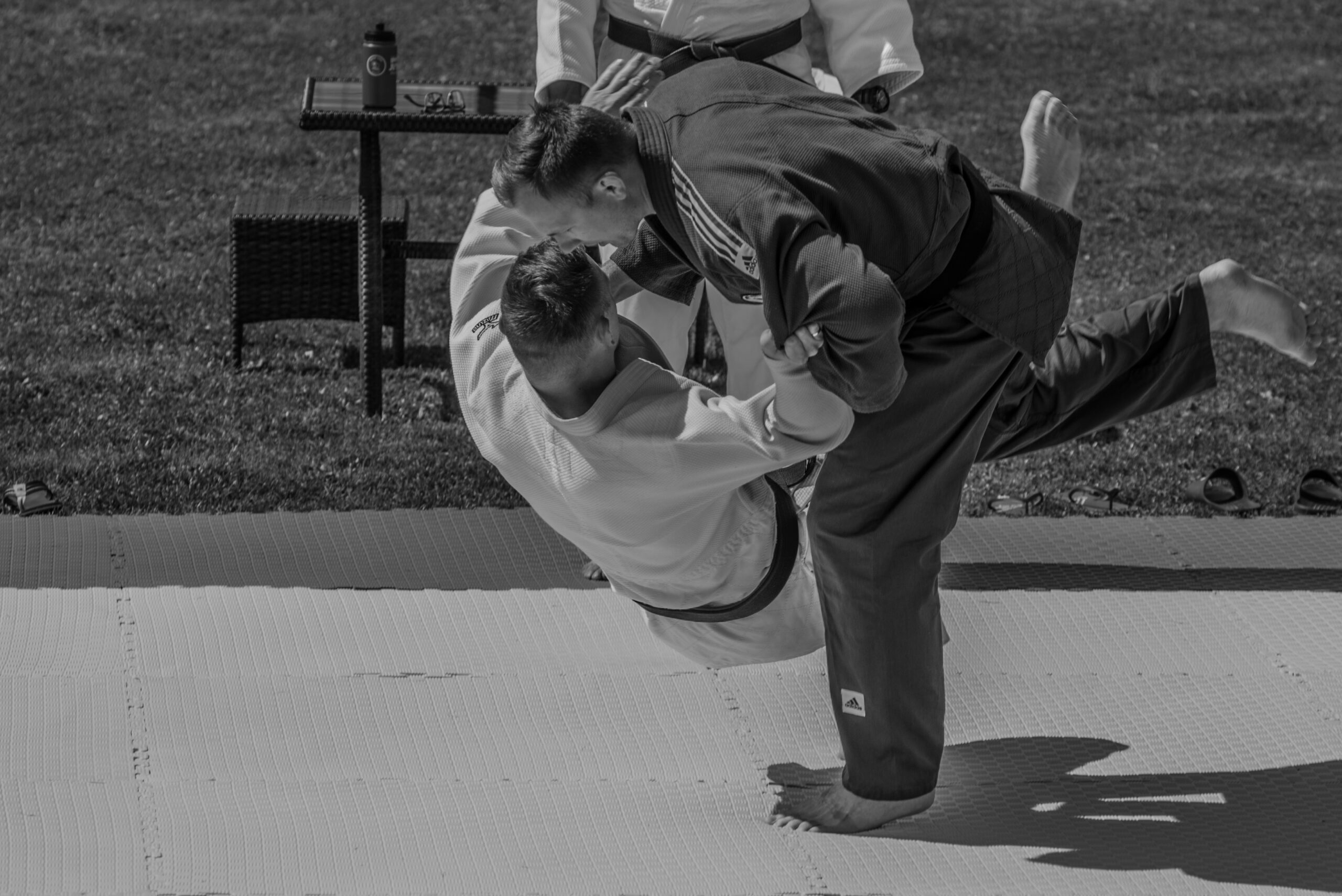 Main image of Ippon Judo - Filia Ruczaj