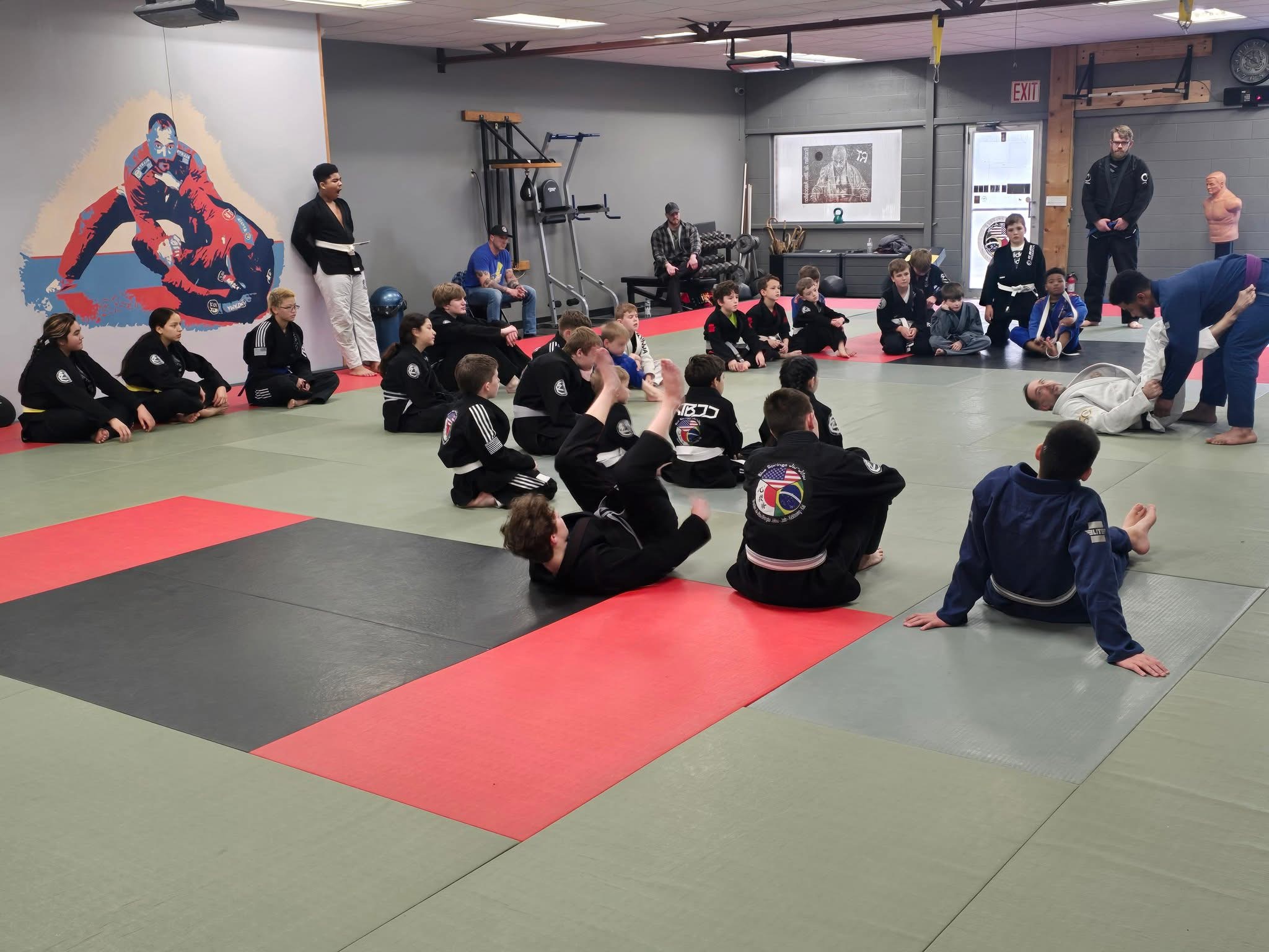 Blue Springs Jiu-Jitsu academy photo