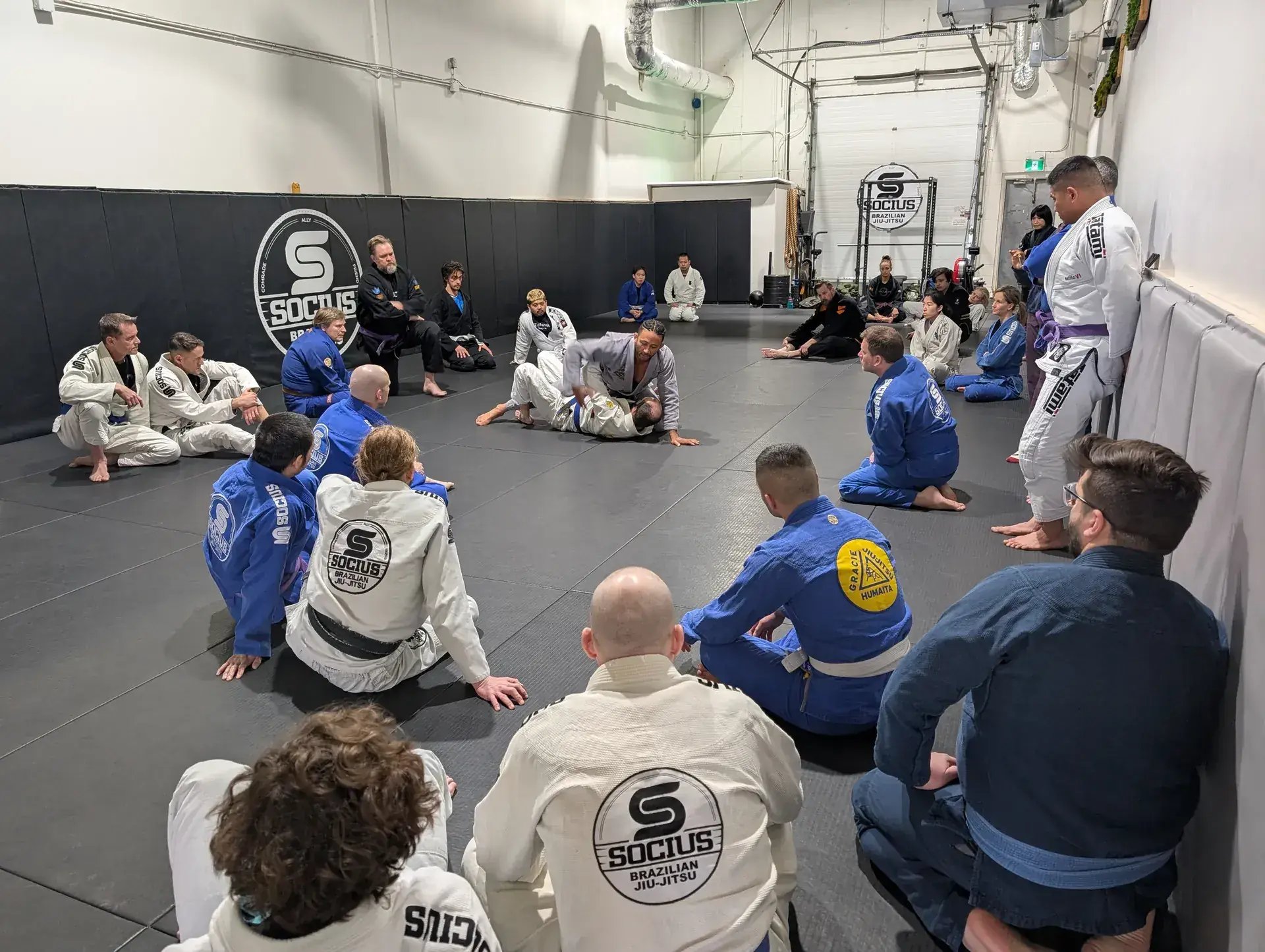 Socius Brazilian Jiu-Jitsu