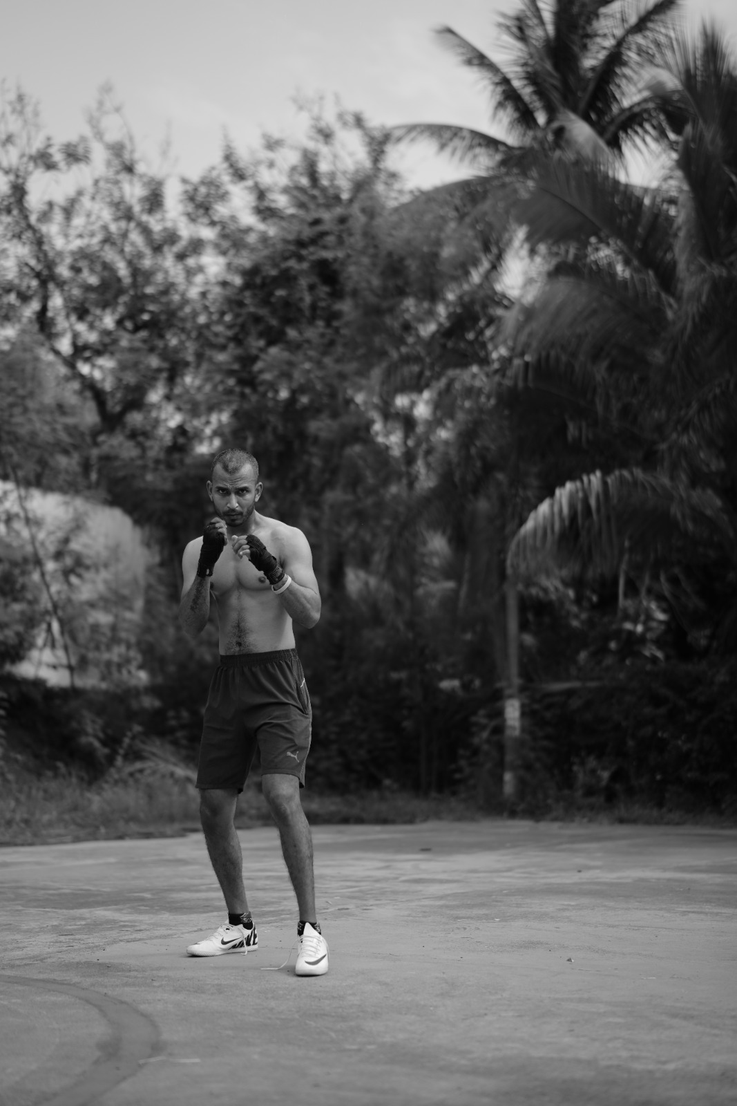 BOXING.AVE academy image