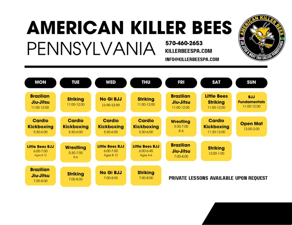 Main image of American Killer Bees PA MMA & Brazilian Jiu Jitsu