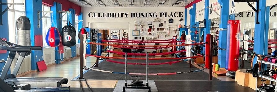 Celebrity Boxing Place academy photo