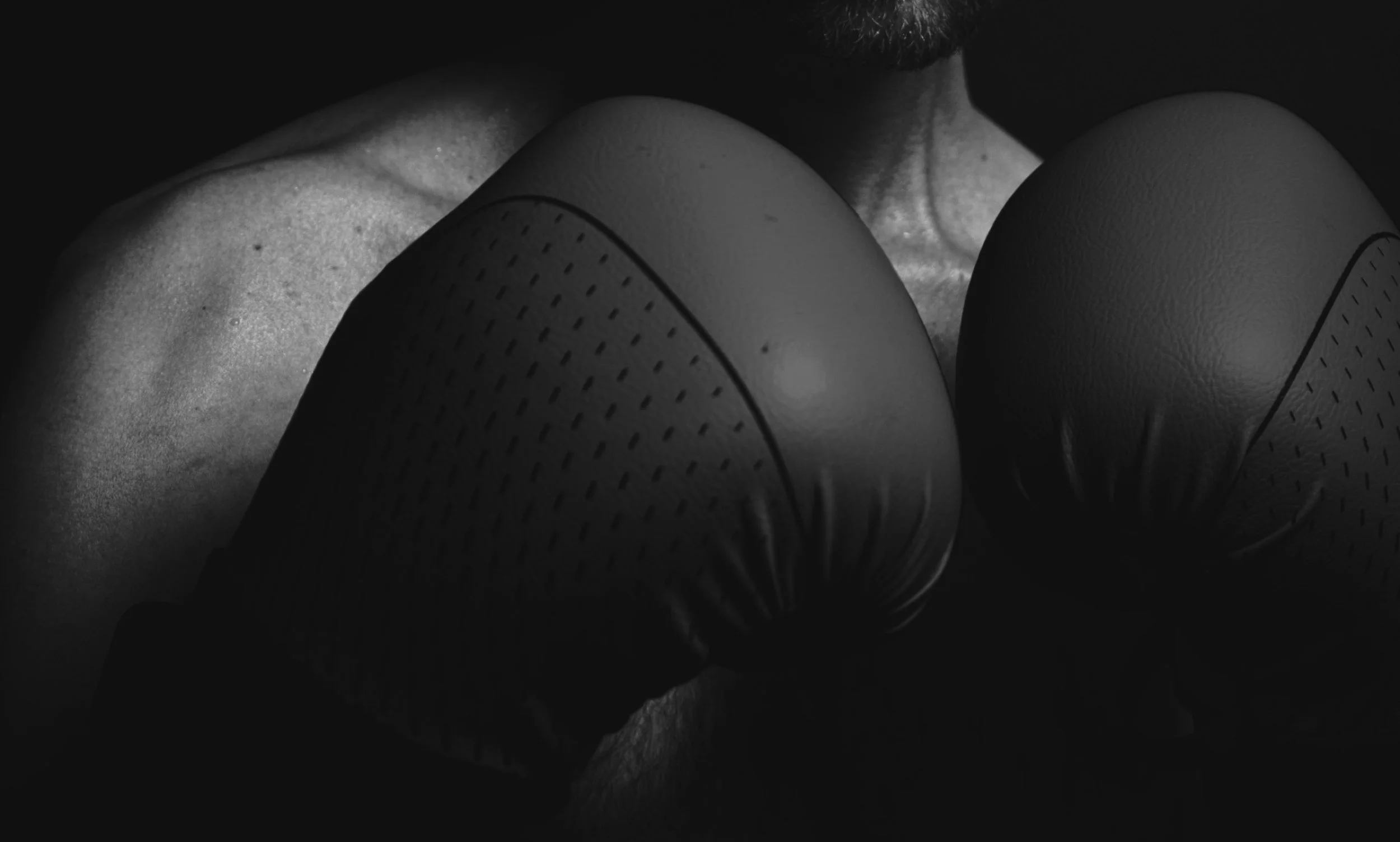 Ferreira Boxing Gym academy photo
