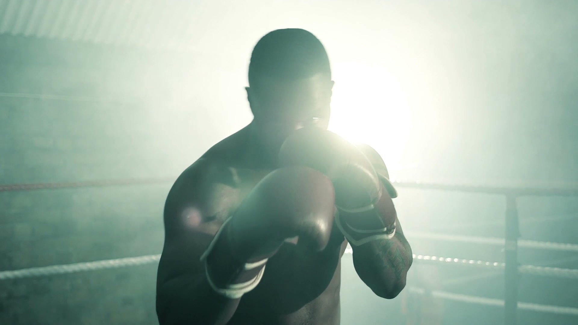 BOX-X Boxing and Fitness academy photo