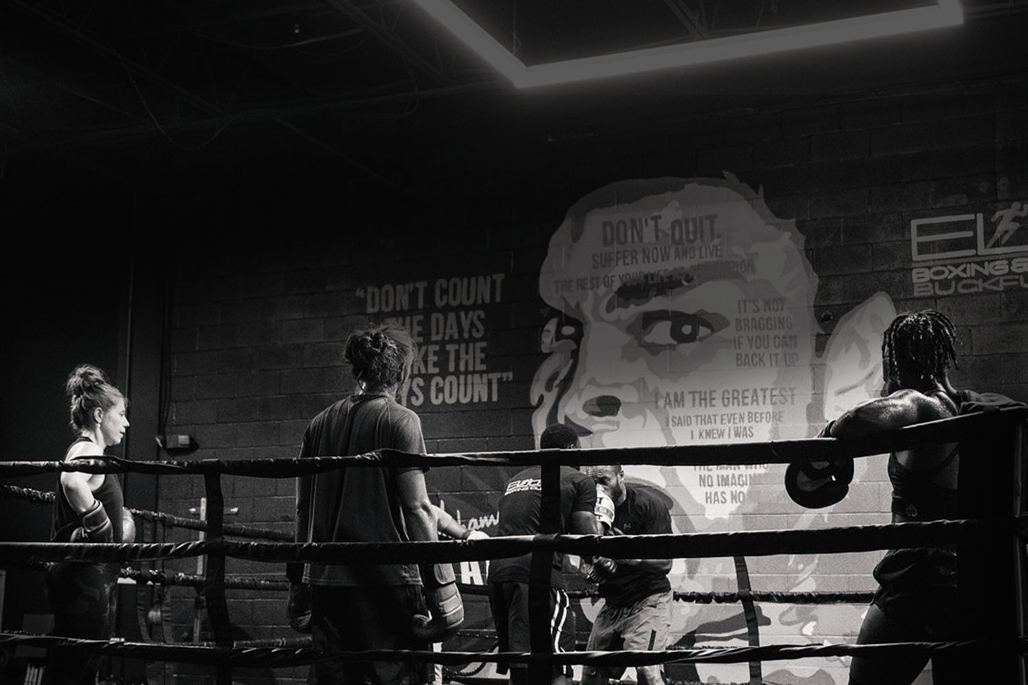 Elite Boxing & Fitness Gym academy image