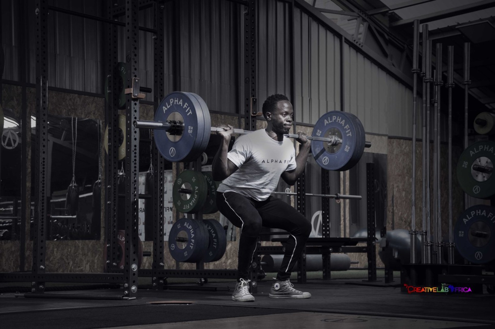 Main image of Alpha Fit