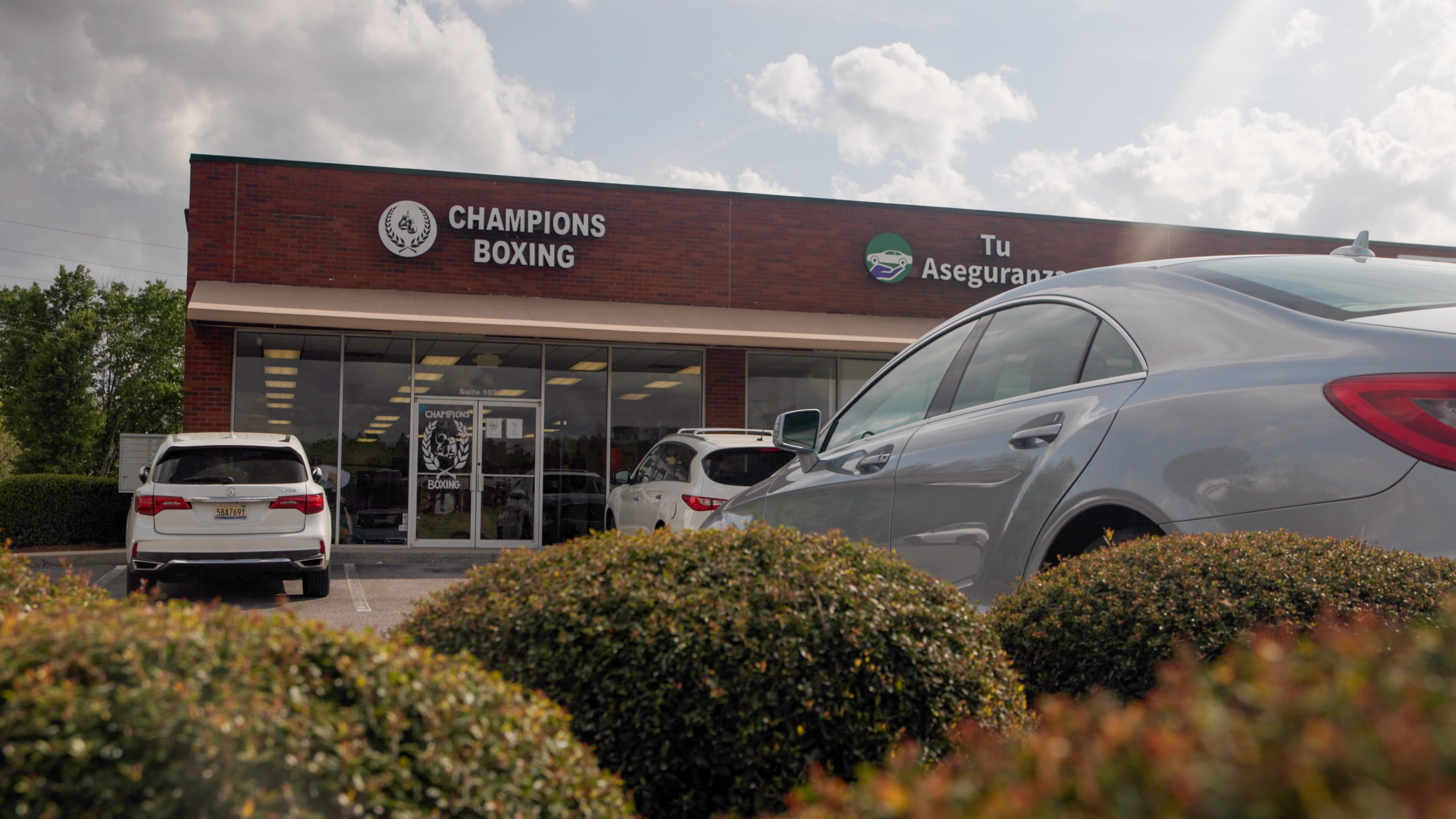 Champions Boxing academy image