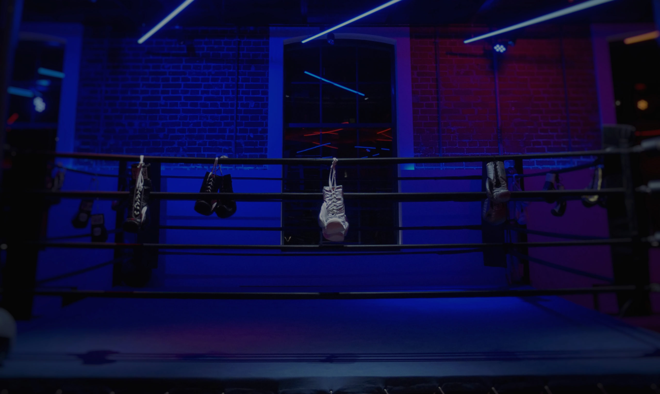 The Corner Boxing Gym academy photo