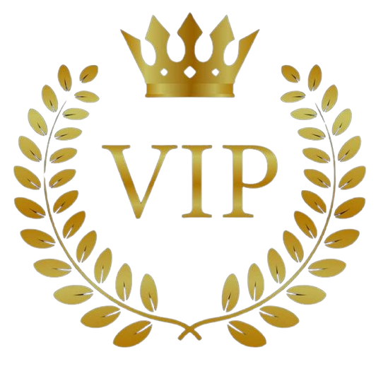 VIP Boxing & Conditioning academy image
