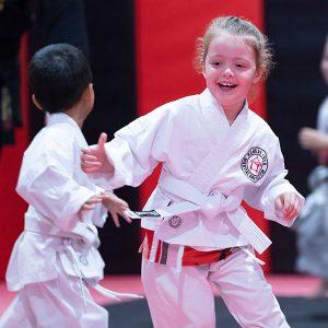 Main image of Kumiai Ryu Martial Arts