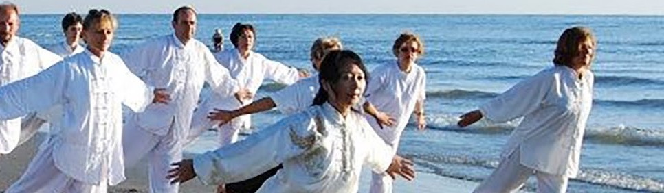Main image of A.S.D. WUSHU JING QI SHEN