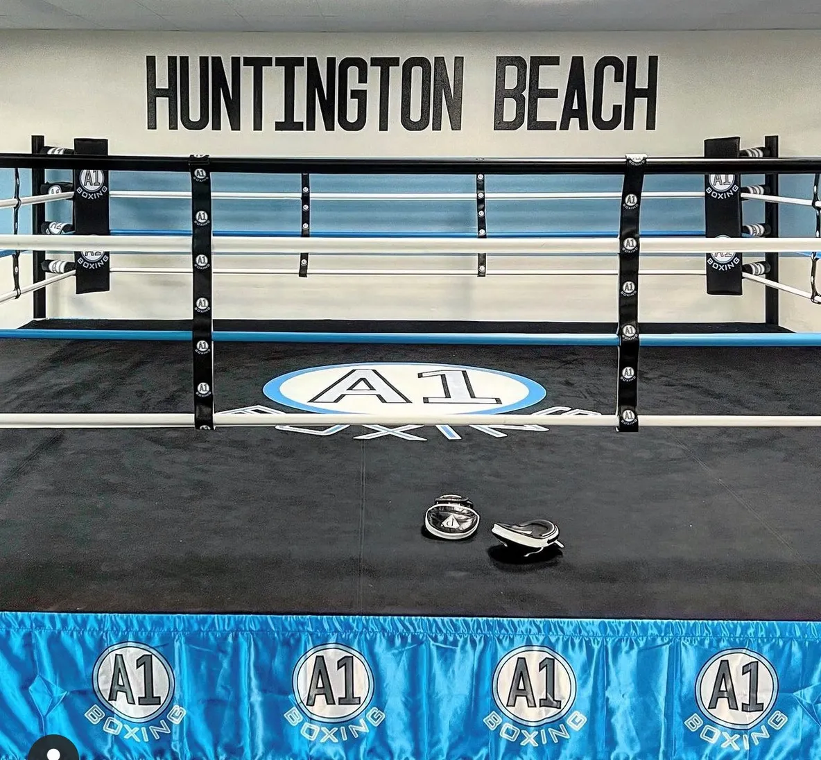 A1 Boxing Club academy image