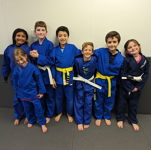 Main image of A2 Jiu-Jitsu