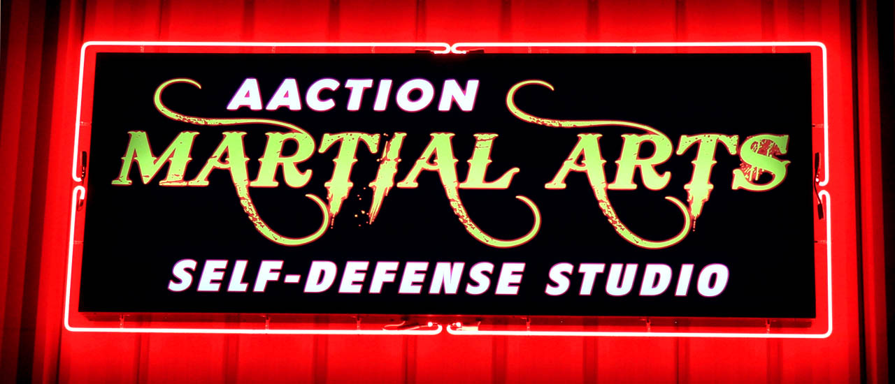 Main image of Aaction Martial Arts