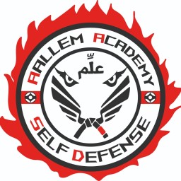 Main image of AALLEM ACADEMY