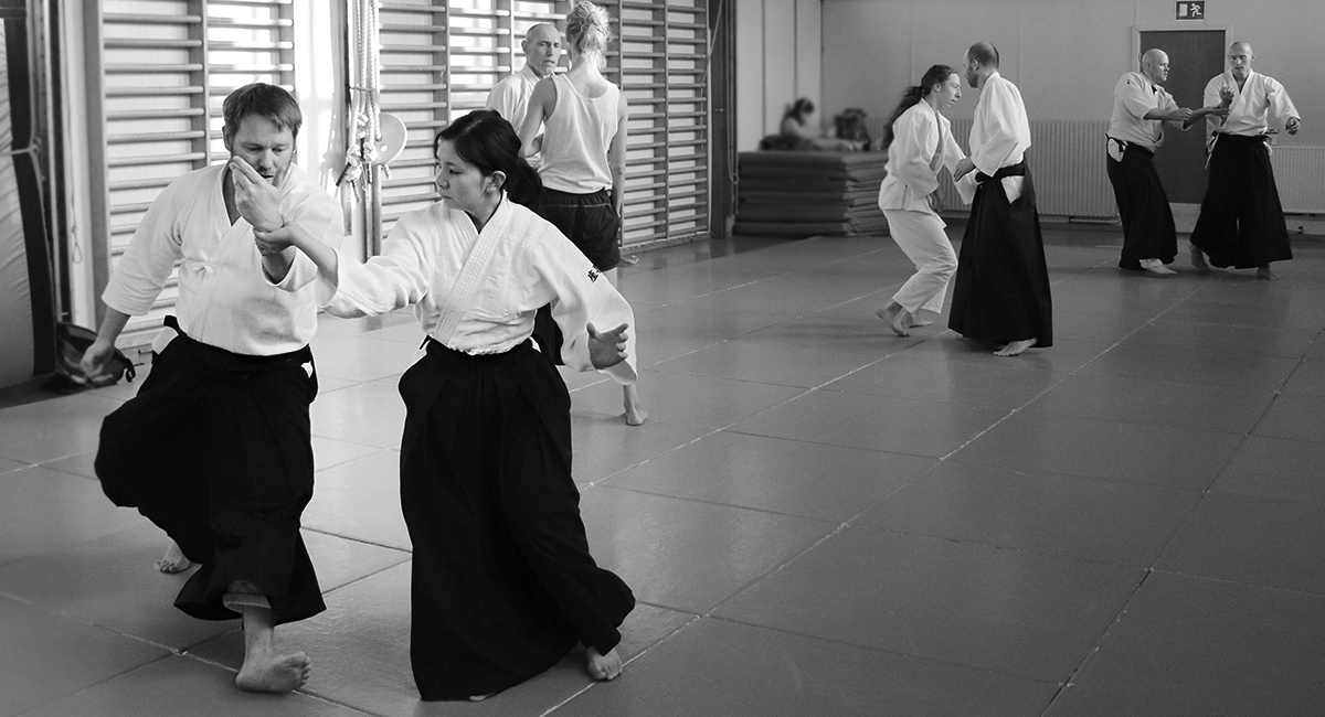 Main image of Aarhus Aiki-kai
