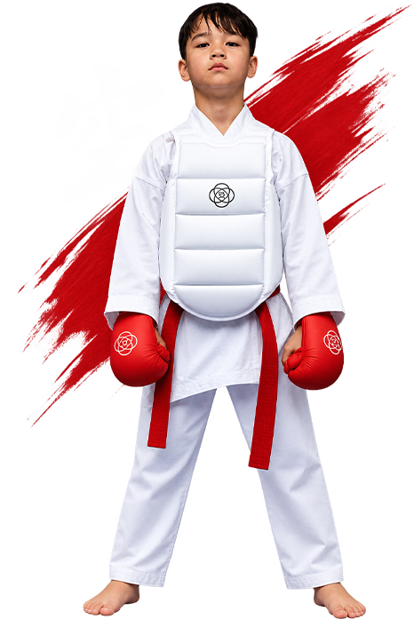 Main image of Abel Karate School Page