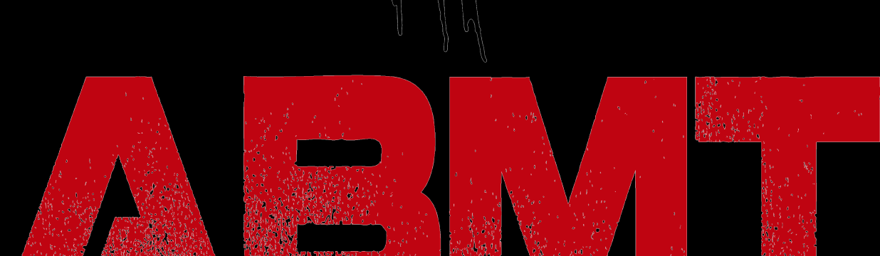 Main image of ABMT TEAM
