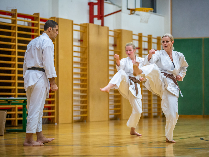 Main image of Abteilung Traditionelles Karate Des Usv Tu Dresden E.v.