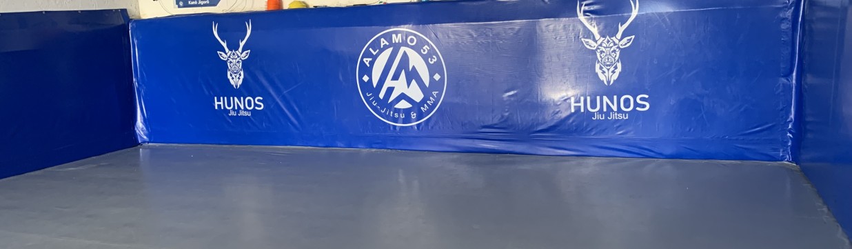 Main image of Academia álamo 53