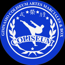 Main image of ACADEMIA COLISEUM ARTES MARCIALES