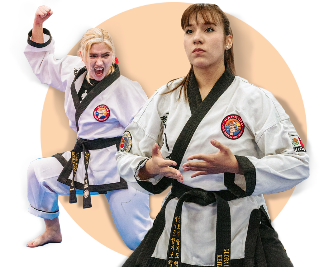 Main image of Academia de Hapkido Apan | Hidalgo