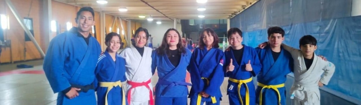 Main image of Academia de Judo Ikigai
